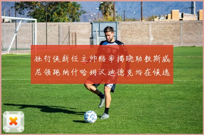 独行侠新任主帅赔率揭晓助教斯威尼领跑纳什哈姆汉迪德克均在候选之中