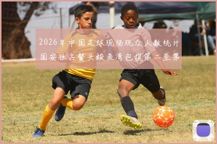 2026年中国足球现场观众人数统计国安独占鳌头梭鱼湾包揽第二至第七位